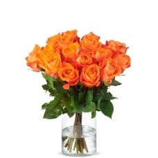 Orange roses (Small)