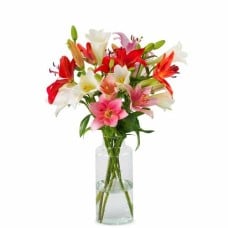 Lilies - Fancy mix