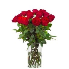 15 red roses
