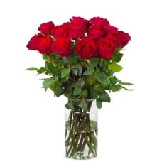 20 red roses