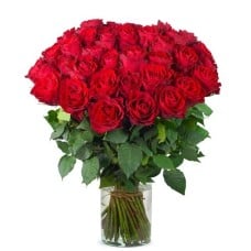 50 red roses