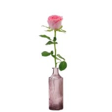 Premium pink rose + free pink vase