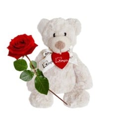 A red rose with teddy bear