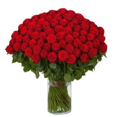 100 red roses | Grower