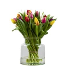 Bunch of mixed tulips (Small)