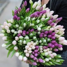 Large bunch of pastel tulips XL (Small)