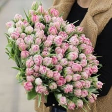 Large bunch of pink double tulips XL (Small)