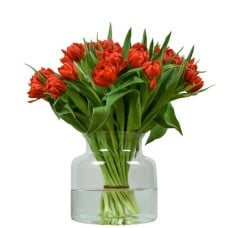 Red double tulips (Small)