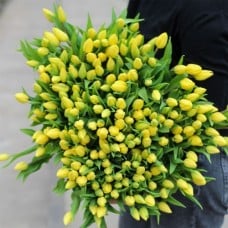 Large bunch of yellow tulips XL (Small)