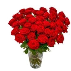 30x red Naomi Roses