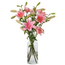 Lilies - Pink Lilies (Small)