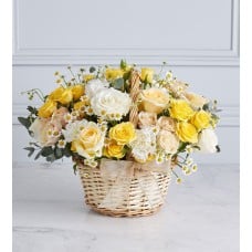 Summer Surprise