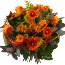Autumn cosiness (standard)