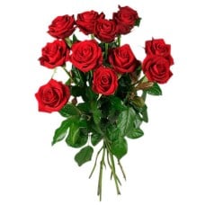 A dozen roses