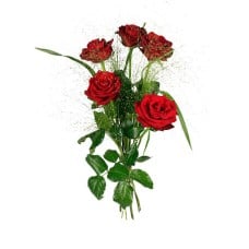 Send the bouquet Five kisses as flower delivery