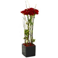Send Modern Art As Blombud