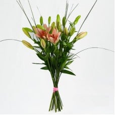 Send a bouquet of lilies which blombud