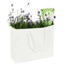 Send Lavender in a bag as a flower delivery