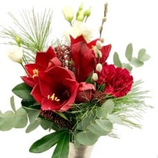 July Amaryllis