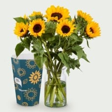 Sunflower bouquet Zora with vase