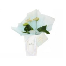 Flowers Gift in Blue