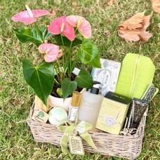 A Gardeners Dream Basket
