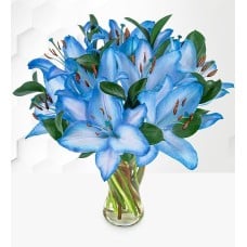 Ocean Lilies (Standard)