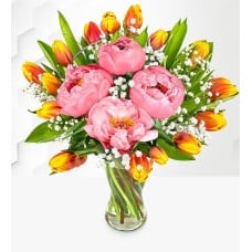 Peony & Tulips (Standard)