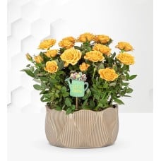 Luxury Summer Rose Bowl