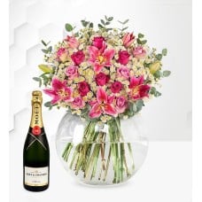 Paris & Moet (Standard)