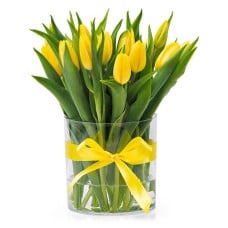 Yellow Tulips