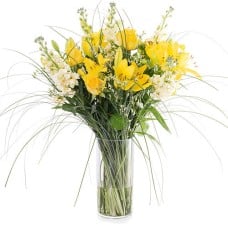 Spring Lilies