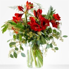 Bouquet Amaryllis Red (Small)