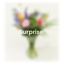 Surprise bouquet Flowers Friends