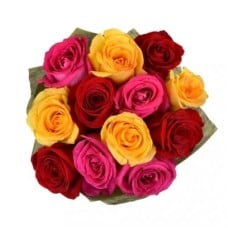 12 Mixed Roses