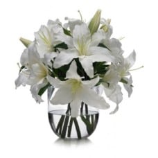 White Lilies in Glass Vase
