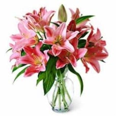 Pink Lilies in Glass Vase