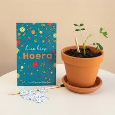 Blooming pencils - Hooray + confetti