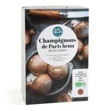 Grow Kit - Organic Brown Paris Mushrooms