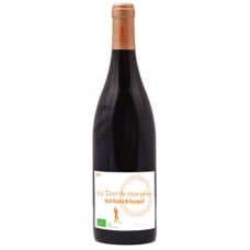 Saint-Nicolas de Bourgueil PDO - My Father's Tower Mercier-Valle