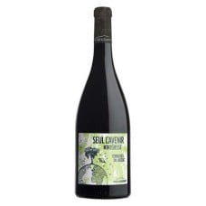 Seul l'avenir m'intresse - red wine PDO Terrasses du Larzac