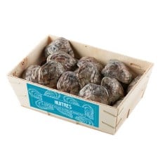The oyster basket