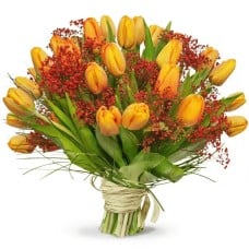 A bouquet of cordial tulips