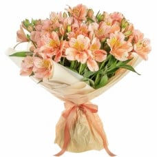 Bouquet of Alstromeria (Small)