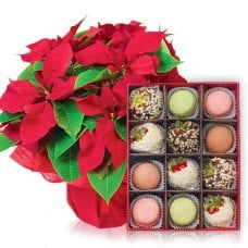 Christmas Star with Strawberries and Macaroons