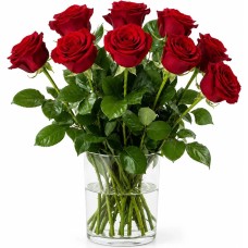 9 red roses