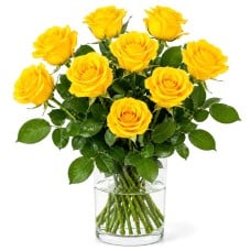 9 yellow roses