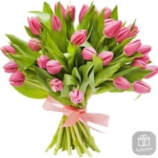 12 pink tulips
