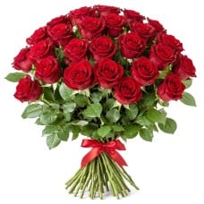 Roses in love (Small)