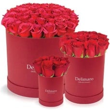 Red roses in a crimson box (Small)